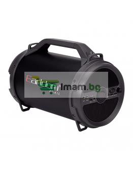 Тонколона Earldom ET-A15, Караоке, Bluetooth, USB, FM, AUX