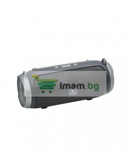 Тонколона Kisonli KS-2000, Bluetooth, USB, SD, FM