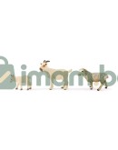 Ферма със животни Ферма със животни