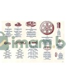 Merkur C05, Голям класически комплект за ретро конструкции, 339 части