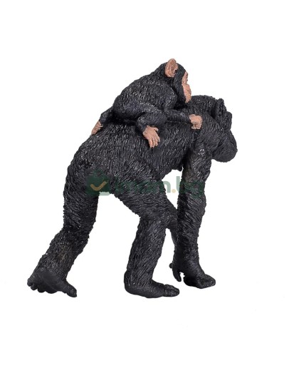 Шимпанзе с бебе