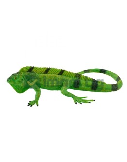 Игуана