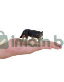 Сив вълк Сив вълк